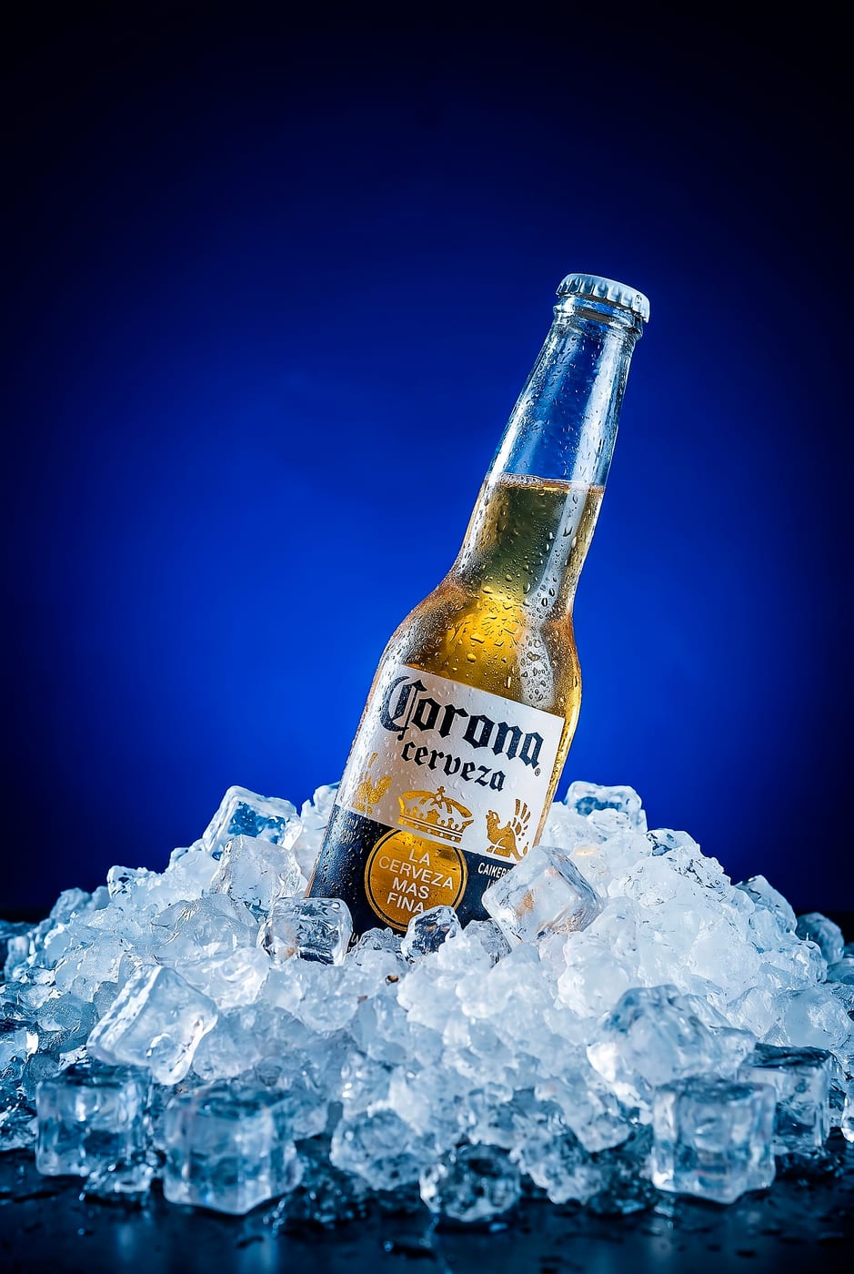 Producto y gastronomía 21